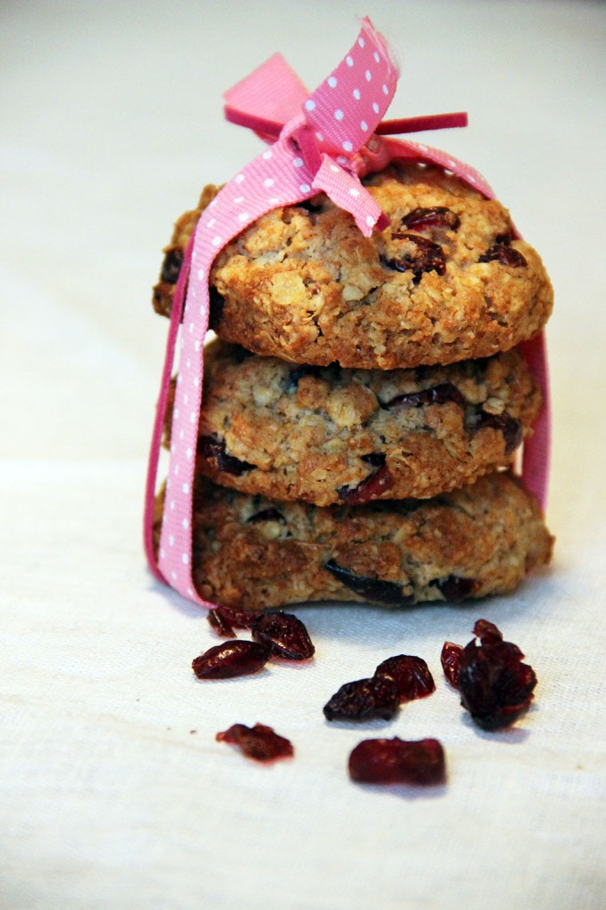 cookies-avoine-cranberry-2