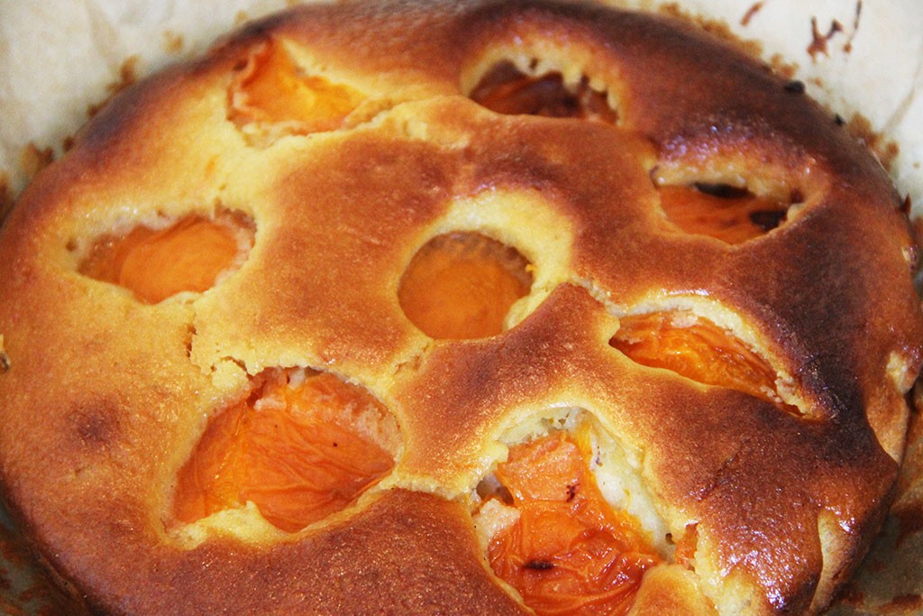 gateau-abricots-fleur-oranger-2