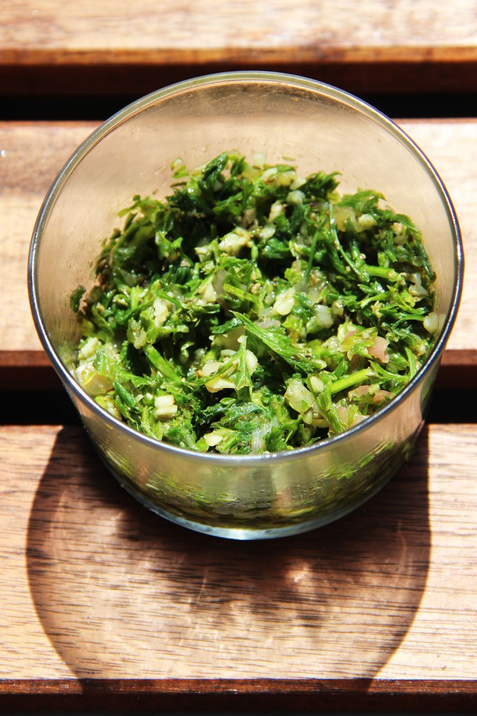 sauce-chimichurri-3