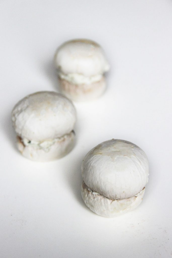 champignons-macarons-3