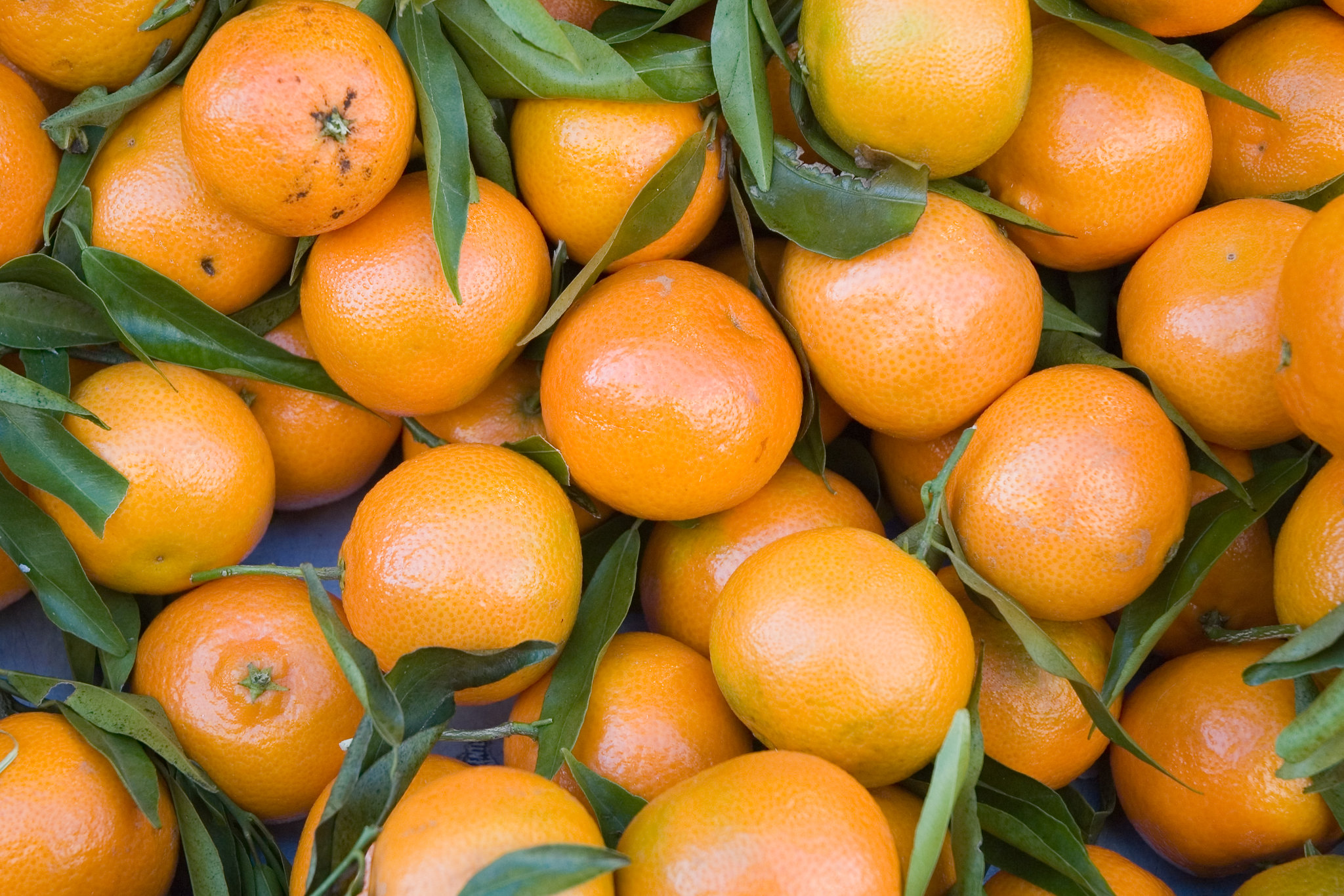 Mandarine - Fruits et légumes de Nouvelle-Calédonie