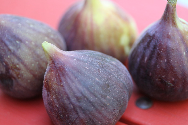 Mariatotal - La figue : le fruit du mois d'octobre