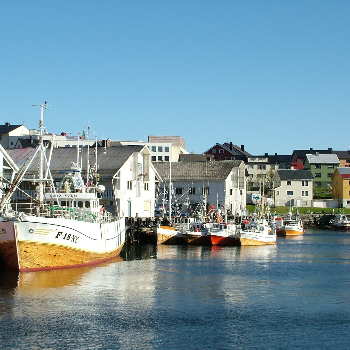 Voyage gourmand Que manger en Norvège ? Not parisienne